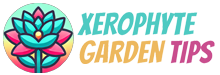 Xerophyte Garden Tips